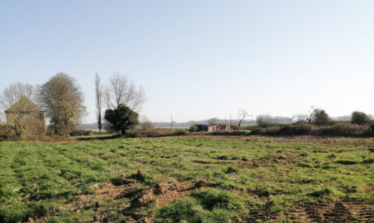 Terrain constructible de 791 m² à Hattenville