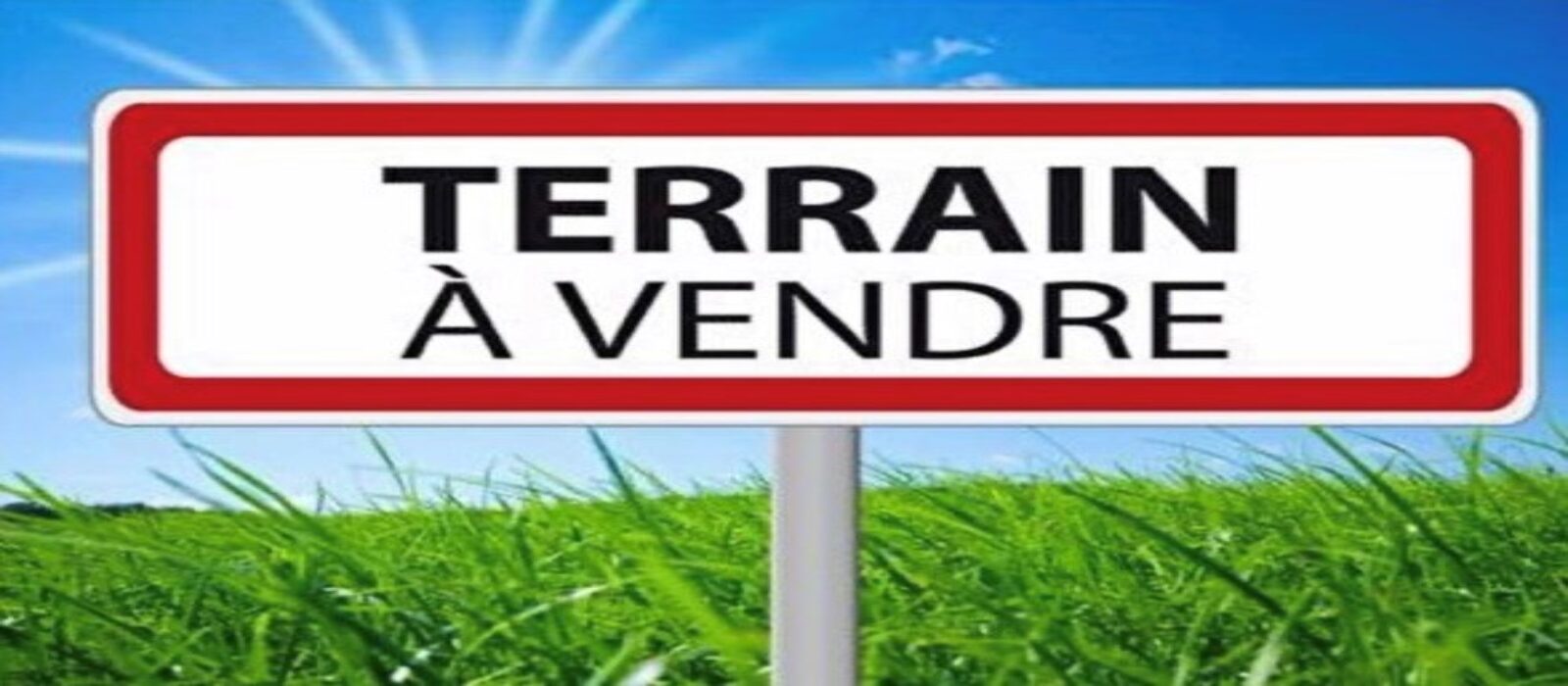 logoterrain a vendre2.jpg